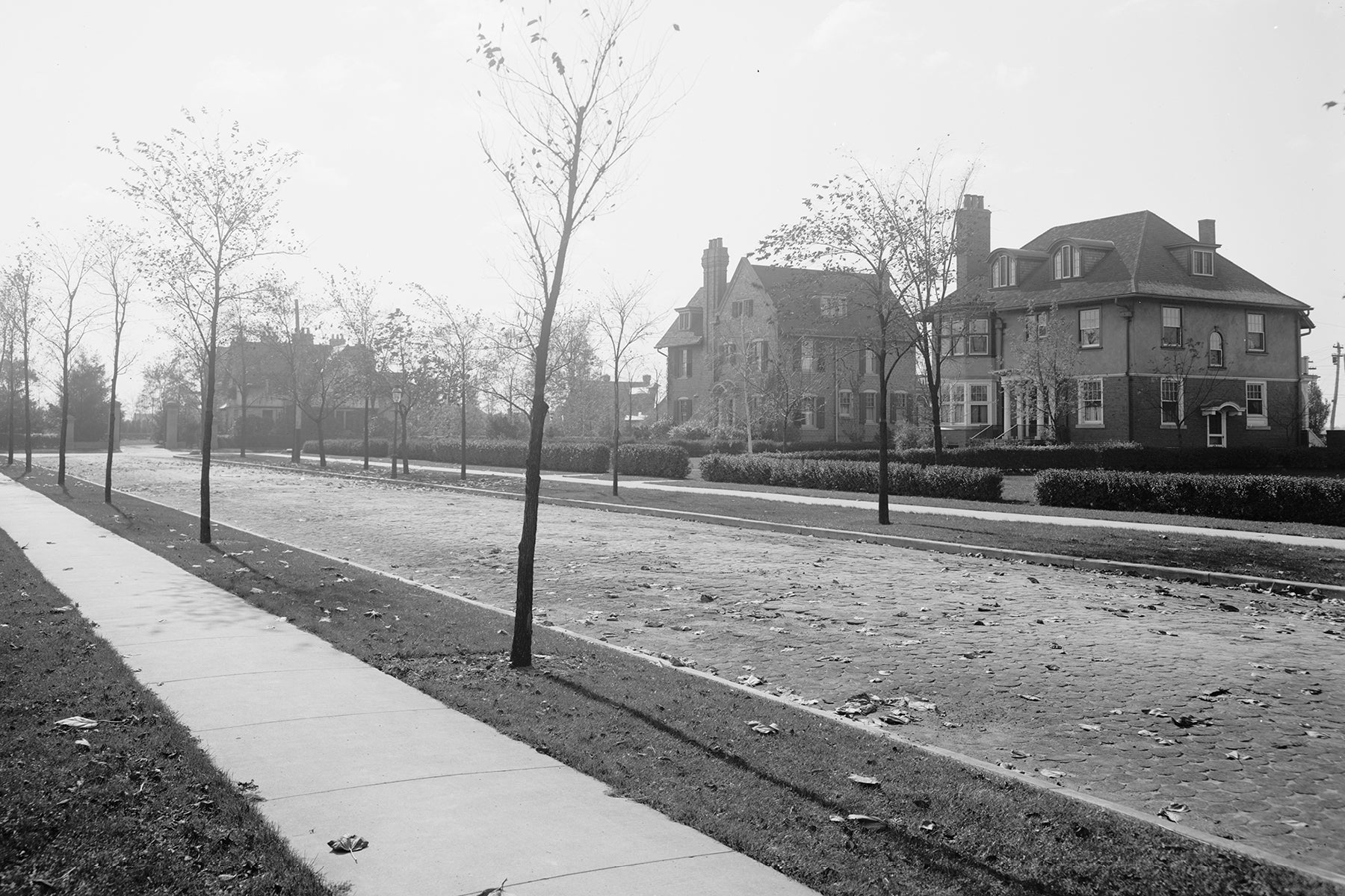 Houses on Kildare Rd (1905)